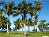 Balneario Boquerón - CABO ROJO